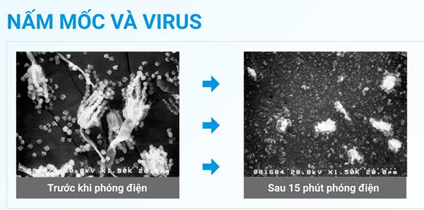 c&ocirc;ng nghệ streamer loại bỏ nấm mốc v&agrave; v&ocirc; hiệu ho&aacute; vi r&uacute;t đến 99%