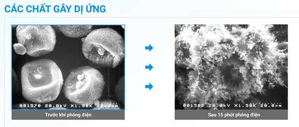 c&ocirc;ng nghệ streamer ph&acirc;n huỷ c&aacute;c chất g&acirc;y dị ứng
